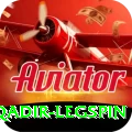 abdul qadir legspin Pro1 v3.0.5
