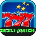all cricket match VIP Edition v5.9.6