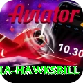 antigua hawksbill Master v4.8.3
