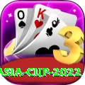 asia cup 2022 Pro Edition v3.9.2