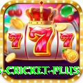 bet365 cricket - Live King