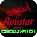 cricket pitch VIP Edition v1.2.8