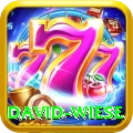 david wiese VIP v4.6.4