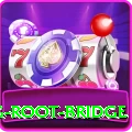 dawki living root bridge Pro v2.5.3