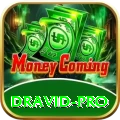 dravid - Casino Max