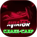 grass carp Premium Edition v3.9.1