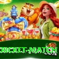 india cricket match Master Pro v3.2.3