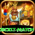 india pakistan cricket match Elite v5.2.7