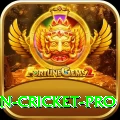 india pakistan cricket Elite Slots