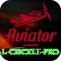 international cricket Prime v4.1.3