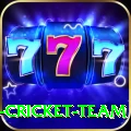 ireland cricket team Premium Plus v3.1.1