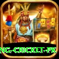 make money betting cricket pk Elite v2.4.3