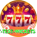 most test wickets Plus v3.2.2