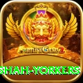 naseem shah yorkers Elite v2.7.2