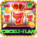 new zealand cricket team Max Pro v1.6.1