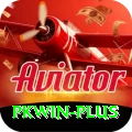 pkwin Plus Edition v3.8.7