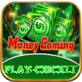 play cricket Games (Casino & Earning) Premium v5.6.3