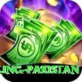responsible gambling pakistan Plus Pro v5.0.3