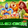 risk free bet cricket Apps (Tools & Injectors) Deluxe v3.0.1
