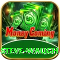 steve waugh Pro1 v2.4.3