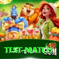 test match Gold Pro v1.6.3