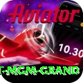 the signature at mgm grand Apps (Tools & Injectors) Elite v2.0.1