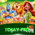 tojay Casino VIP v5.7.6