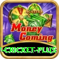 v cricket Pakistan Plus v2.6.1