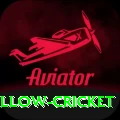 willow cricket VIP v5.4.0