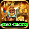 world cup 2022 cricket VIP Edition v5.7.0